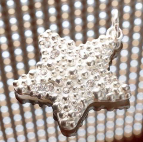 Star L Amulet